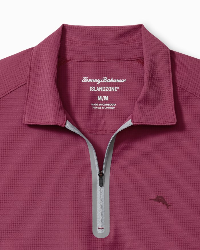 Big & Tall Pebble Coast Half-Zip IslandZone® Polo