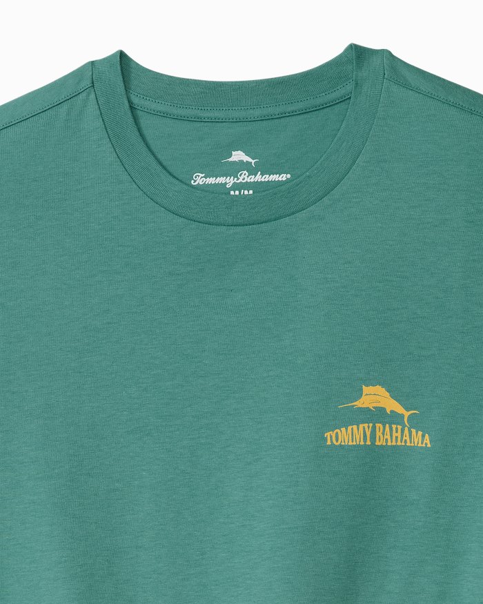 Gulls Just Want To Have Fun Graphic T-Shirt