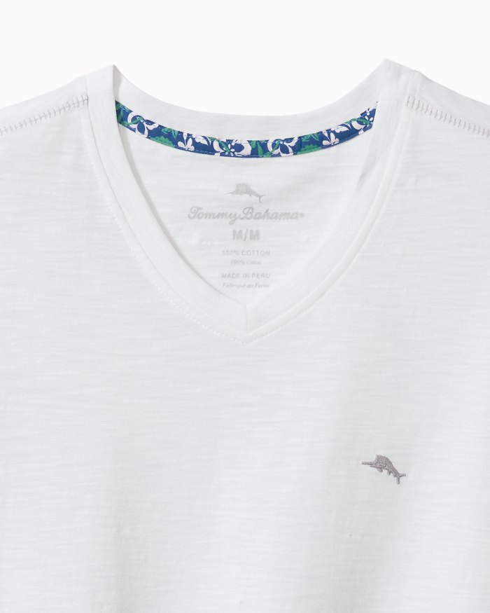 Big & Tall Bali Beach V-Neck T-Shirt