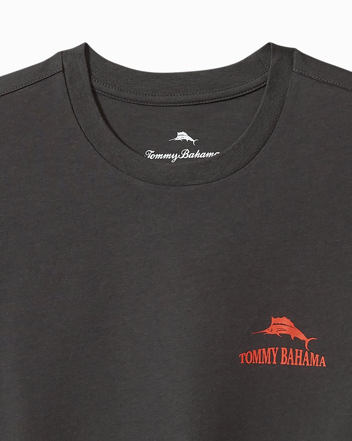 Hazy Conditions Graphic T-Shirt