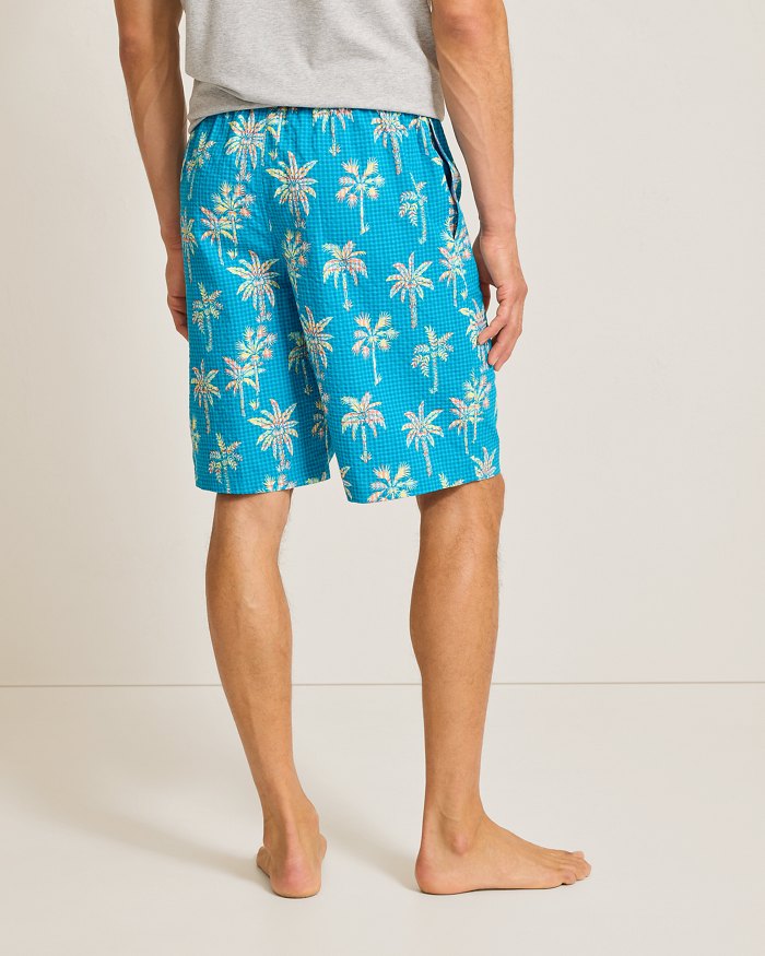 Big & Tall Seersucker Pajama Shorts