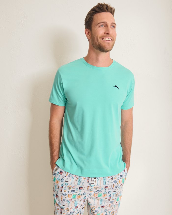 Big & Tall Jersey Short-Sleeve Crew T-Shirt