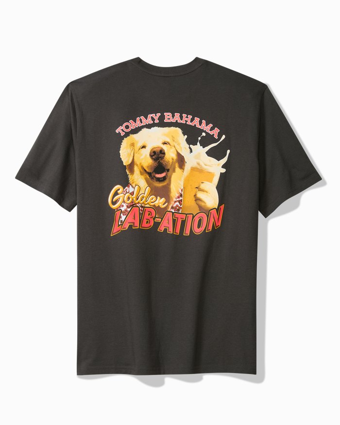 Big & Tall Golden Labation Graphic T-Shirt