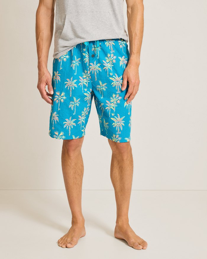 Big & Tall Seersucker Pajama Shorts